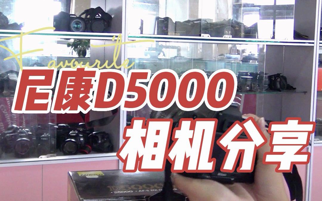 尼康D5000相机分享哔哩哔哩bilibili