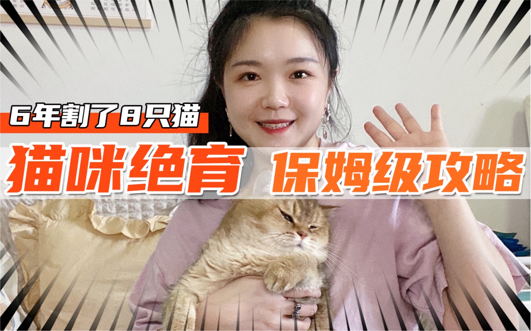 猫咪绝育超全攻略*套餐选择/术前准备/术后护理等哔哩哔哩bilibili