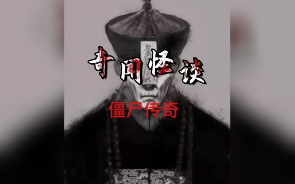 僵尸传奇哔哩哔哩bilibili