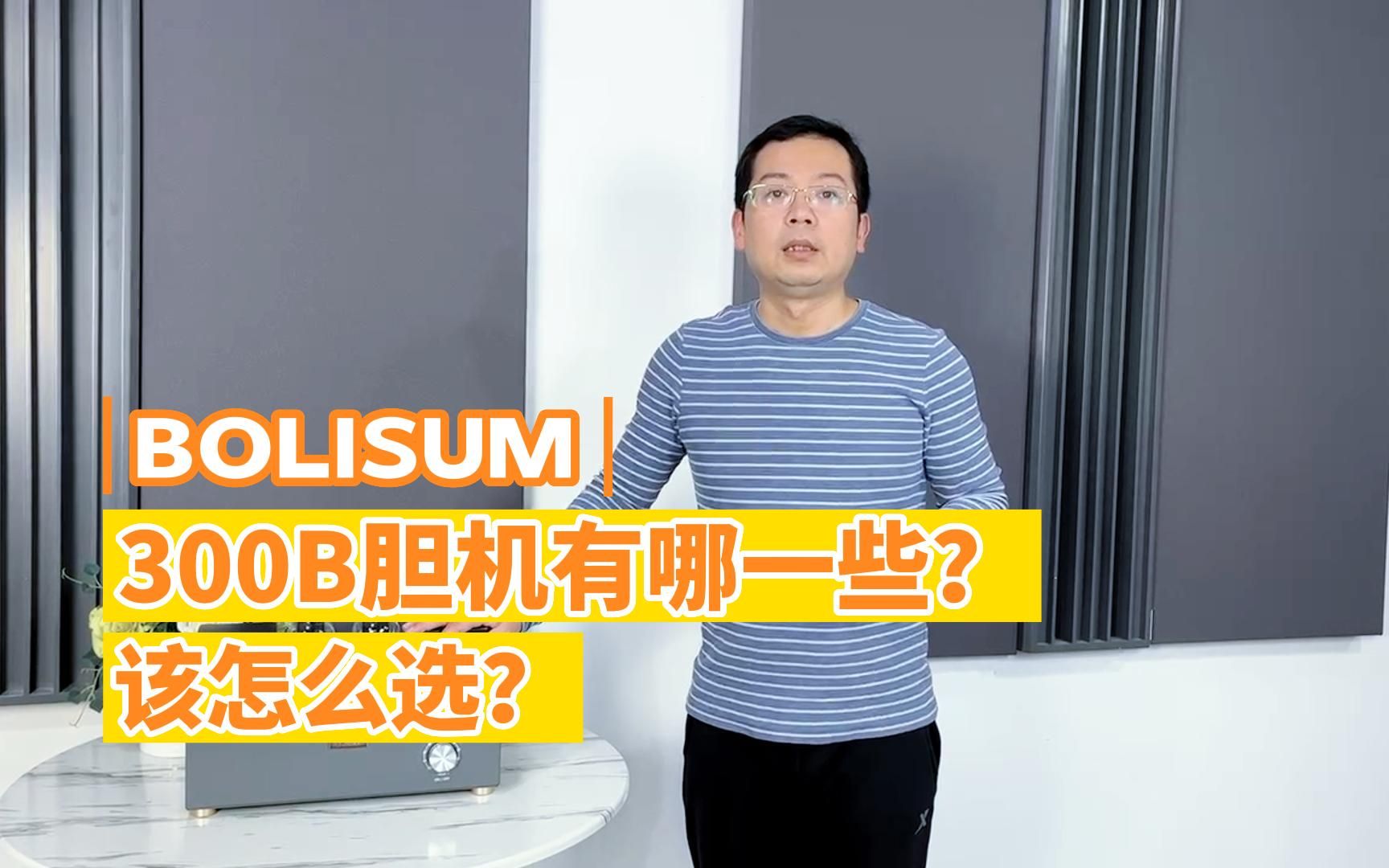 300B胆机都有哪几类?该怎么去选?哔哩哔哩bilibili