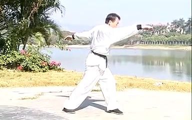 侠家拳 基本功 上哔哩哔哩bilibili