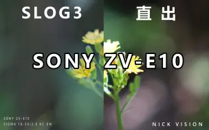 Descargar video: 索尼ZV-E10 | SLOG3对比直出画面，细节碾压