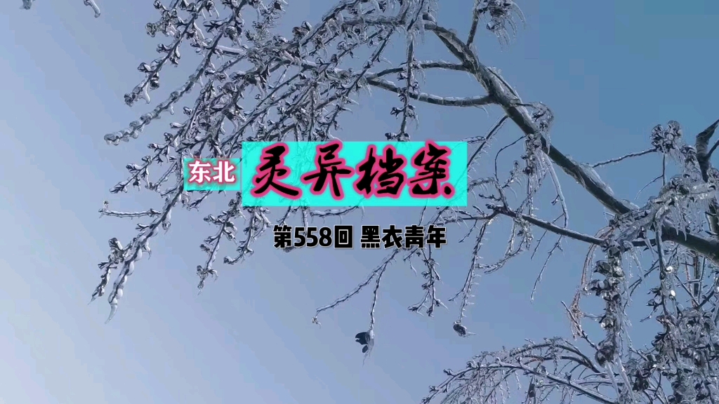 《东北灵异档案》第558回 黑衣青年#奇闻异事哔哩哔哩bilibili