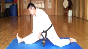 掌底の顔面攻防 大石代悟最高師範 哔哩哔哩 つロ干杯 Bilibili