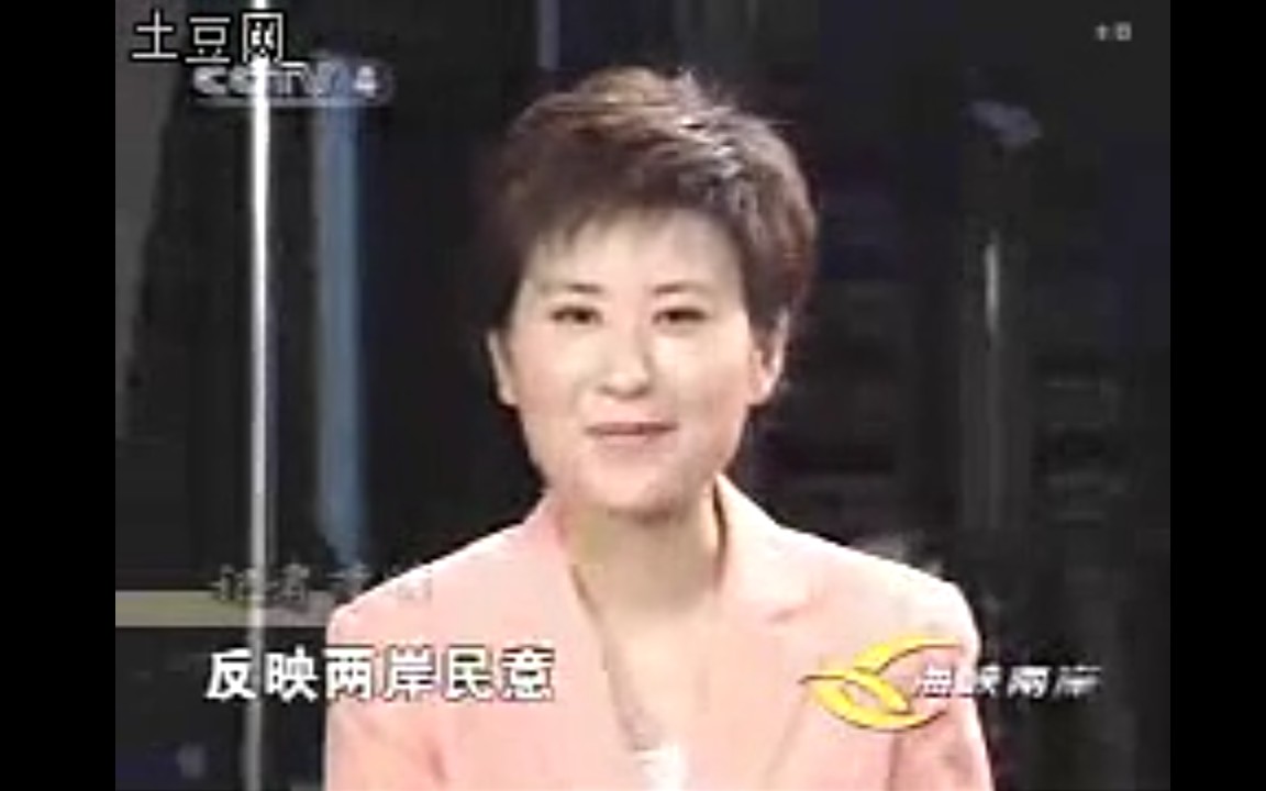 [图]2002年CCTV4《海峡两岸》——《热点透视》 采访叶青