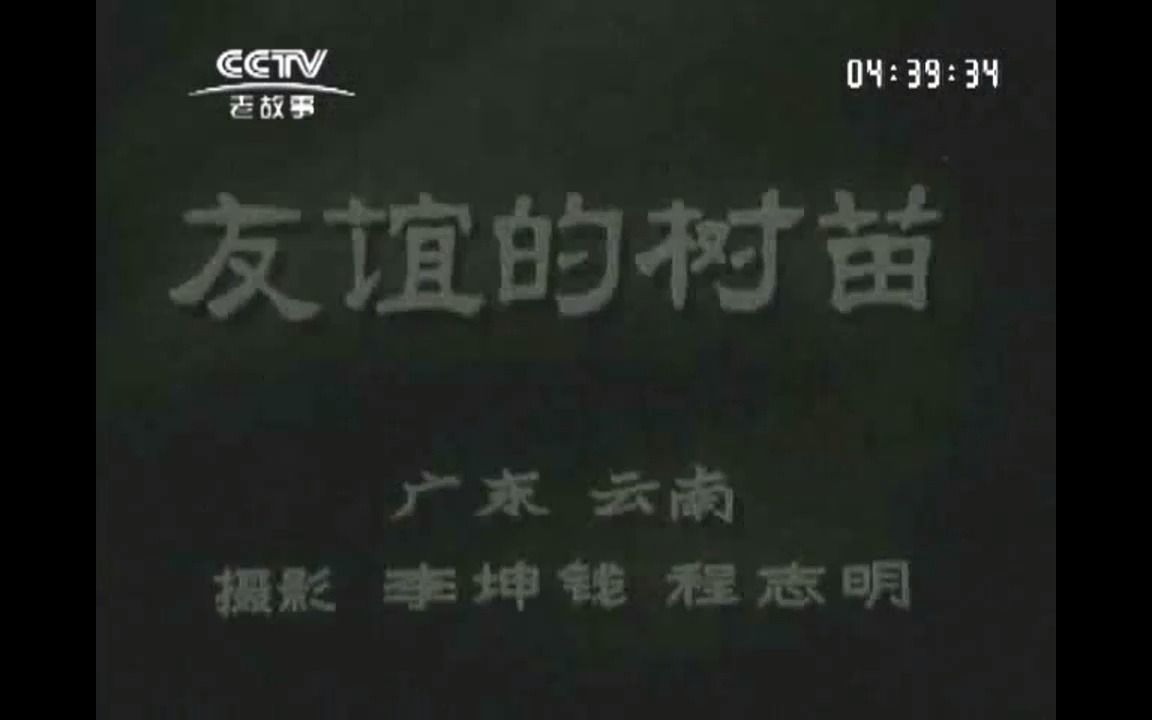 [图]《新闻简报1964年第13号》友谊的树苗