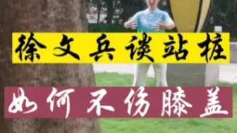 Tải video: 徐文兵谈站桩如何不伤膝盖？