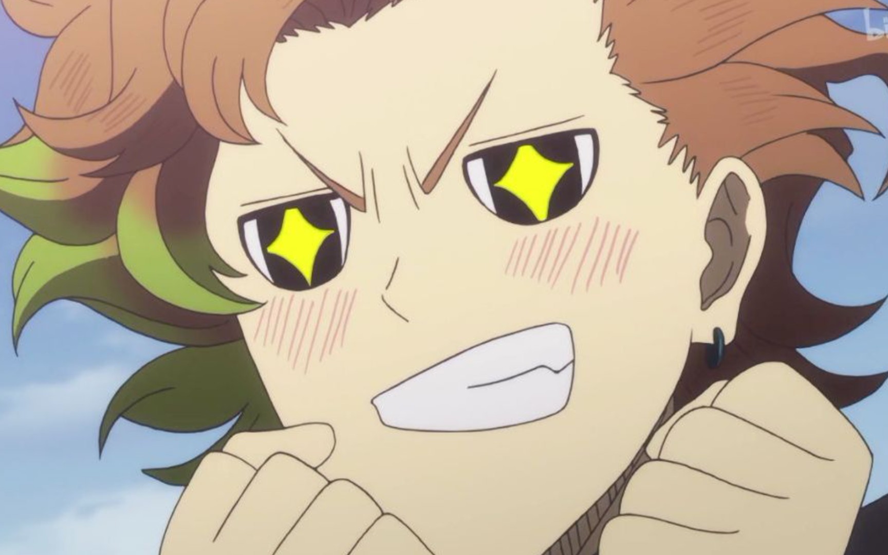 今天播种个芬拉尔种子,明年会开花吗?_哔哩哔哩_bilibili