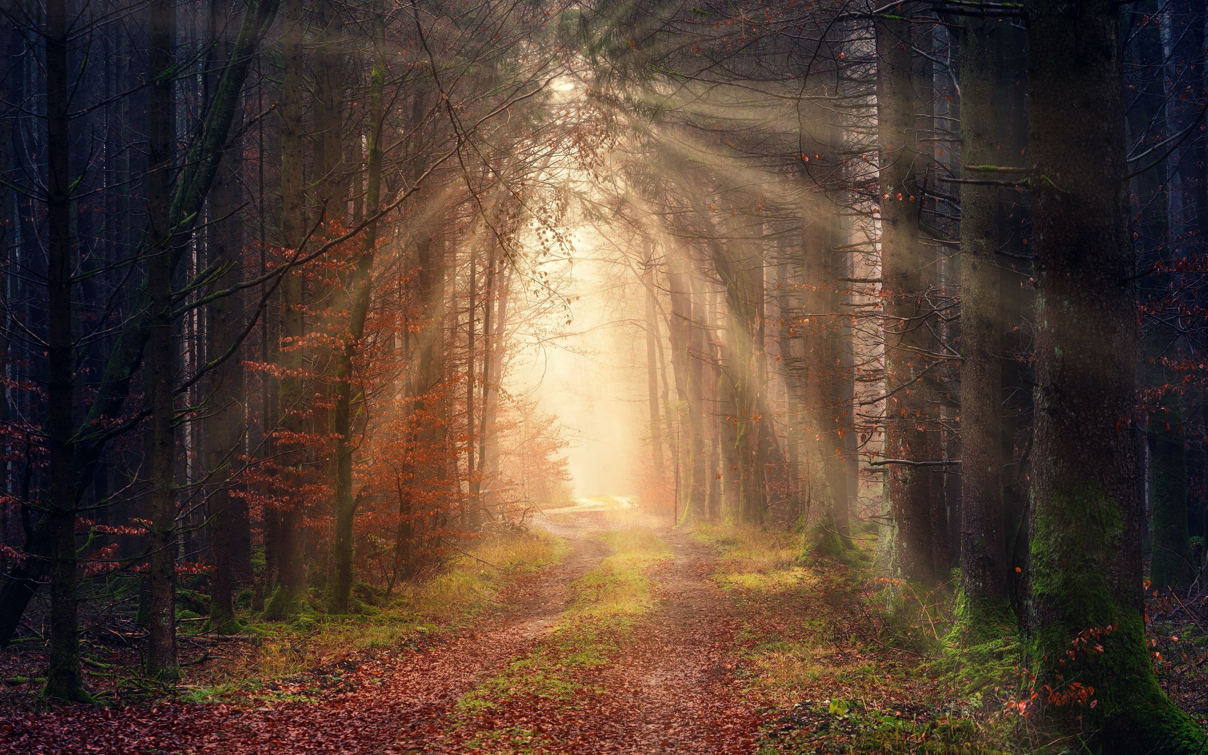 听了这首美妙的乐曲,仿佛深陷其中穿越到无拘无束,悠扬自在意境