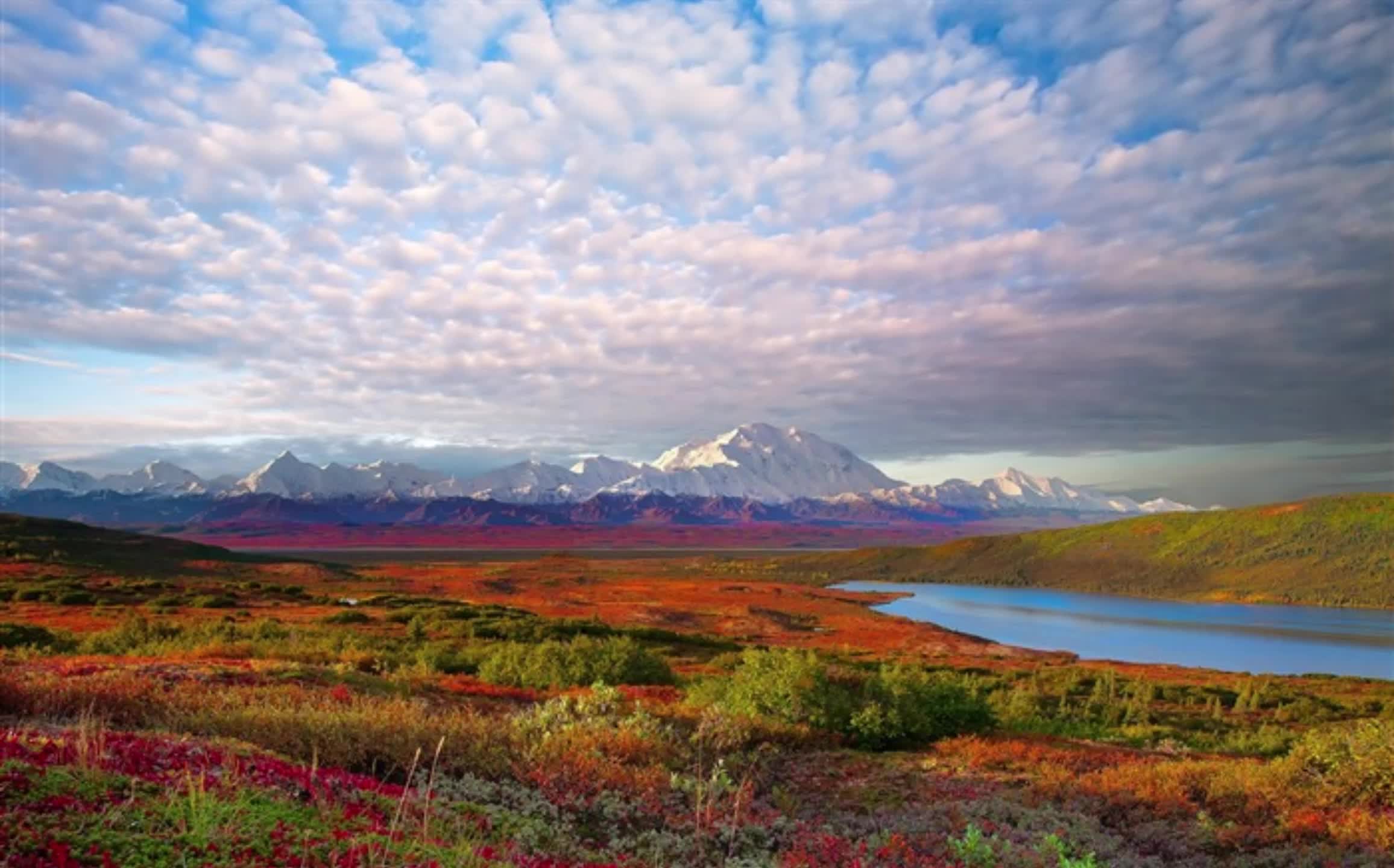 【高清画质】英音神级纪录片《夜色中的地球》抖森配音,中英文幕