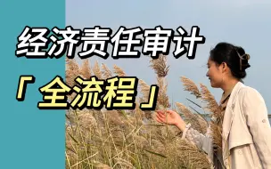 Скачать видео: 审计必学！经济责任审计（包括离任审计）的全流程，倾心打造