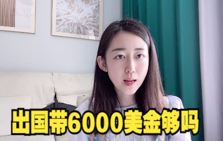 男姐出国带6000美金,大家觉得够吗?哔哩哔哩bilibili