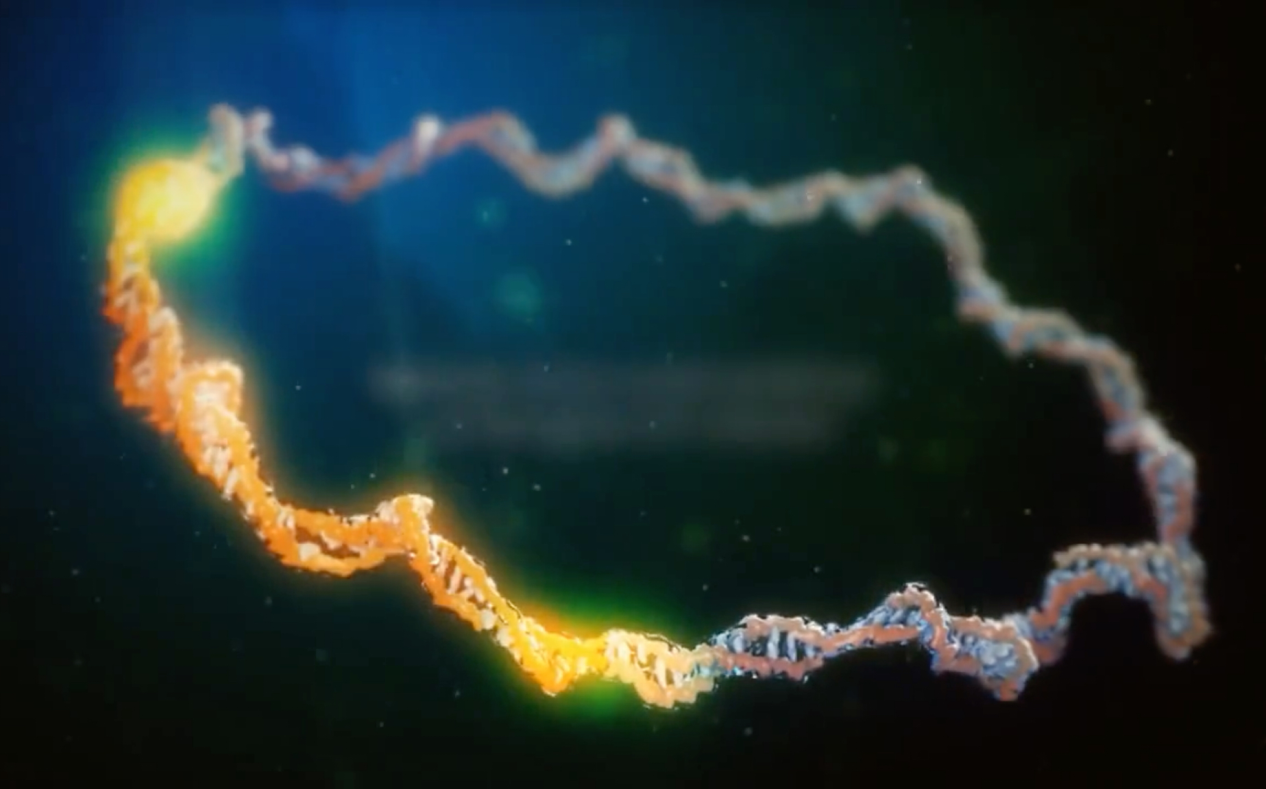 [高中生物动画演示 ]基因工程哔哩哔哩bilibili