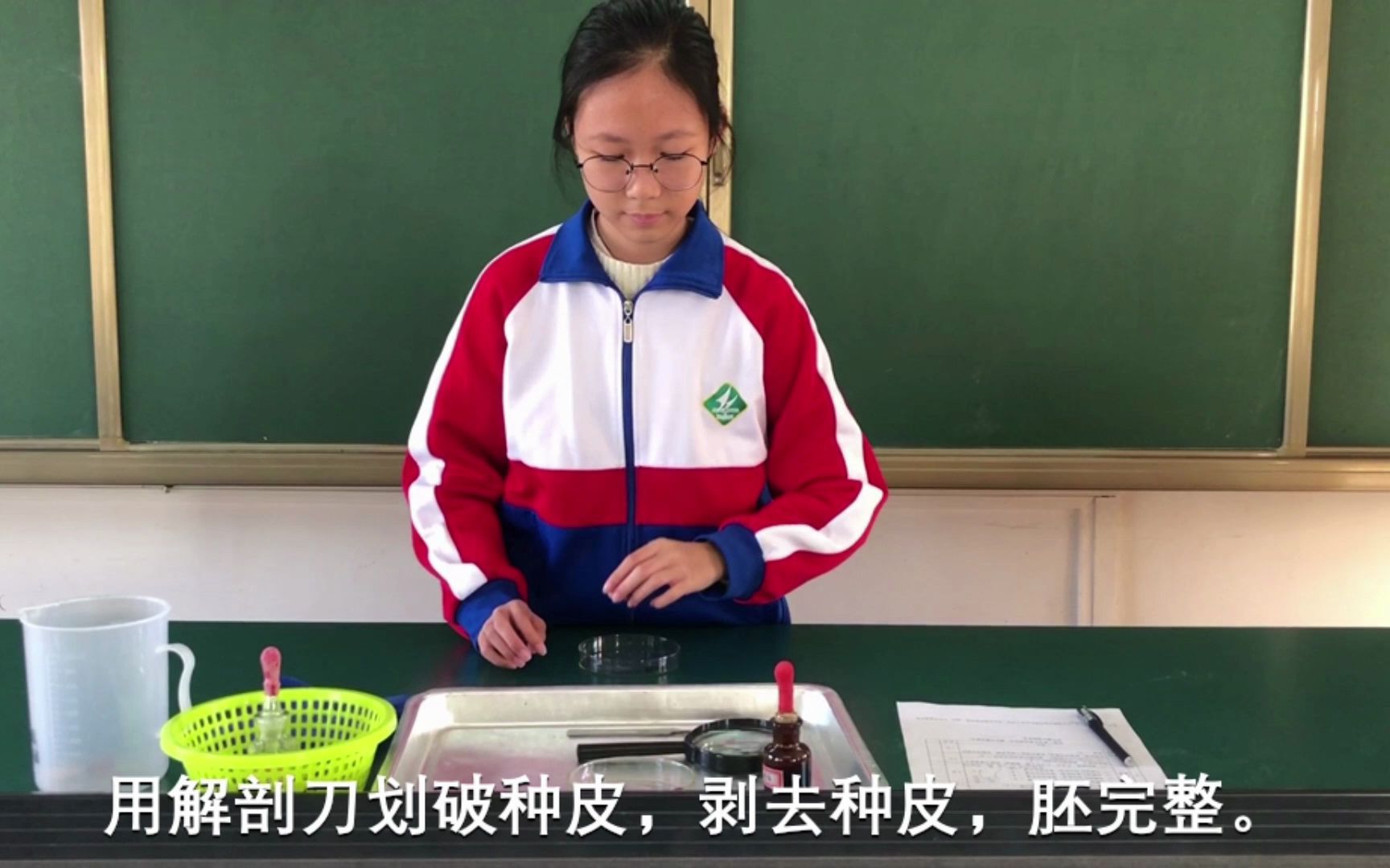 [图]生物实验：观察种子的结构