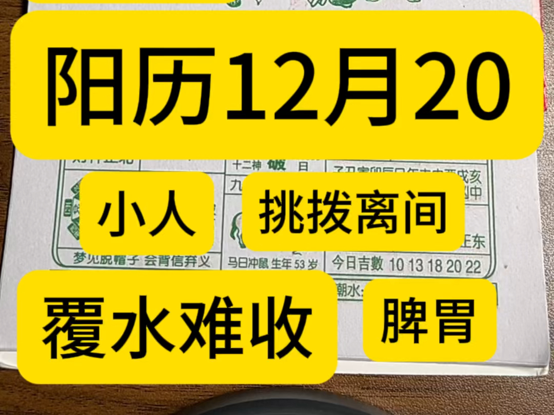 12月20日历,万年历,老黄历,黄道吉日.12月20号电子日历,12月20号电子黄历.12月20号生日快乐.专属年轻人的赛博生活指南哔哩哔哩bilibili