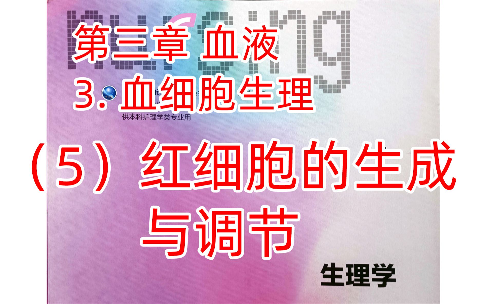 《生理学》血液11红细胞的生成与调节哔哩哔哩bilibili