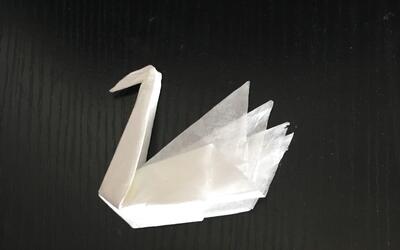 纸巾巧折小天鹅,真的挺美,速来围观吧!