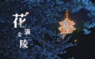 Download Video: 「花满金陵」在南京的春天，见到了繁花下中国古典意境之美