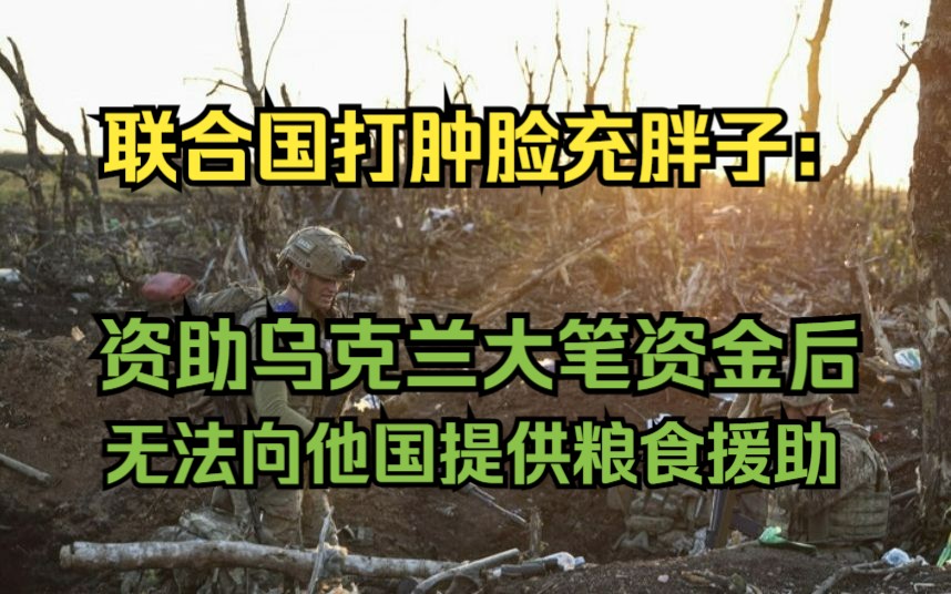 世界粮食计划署:由于对乌援助,没有足够的资金帮助其他国家哔哩哔哩bilibili