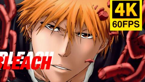 搜索 哔哩哔哩 つロ 干杯 Bilibili