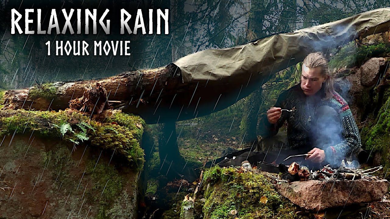 北欧荒野之美:雨林海边1小时野外露营电影