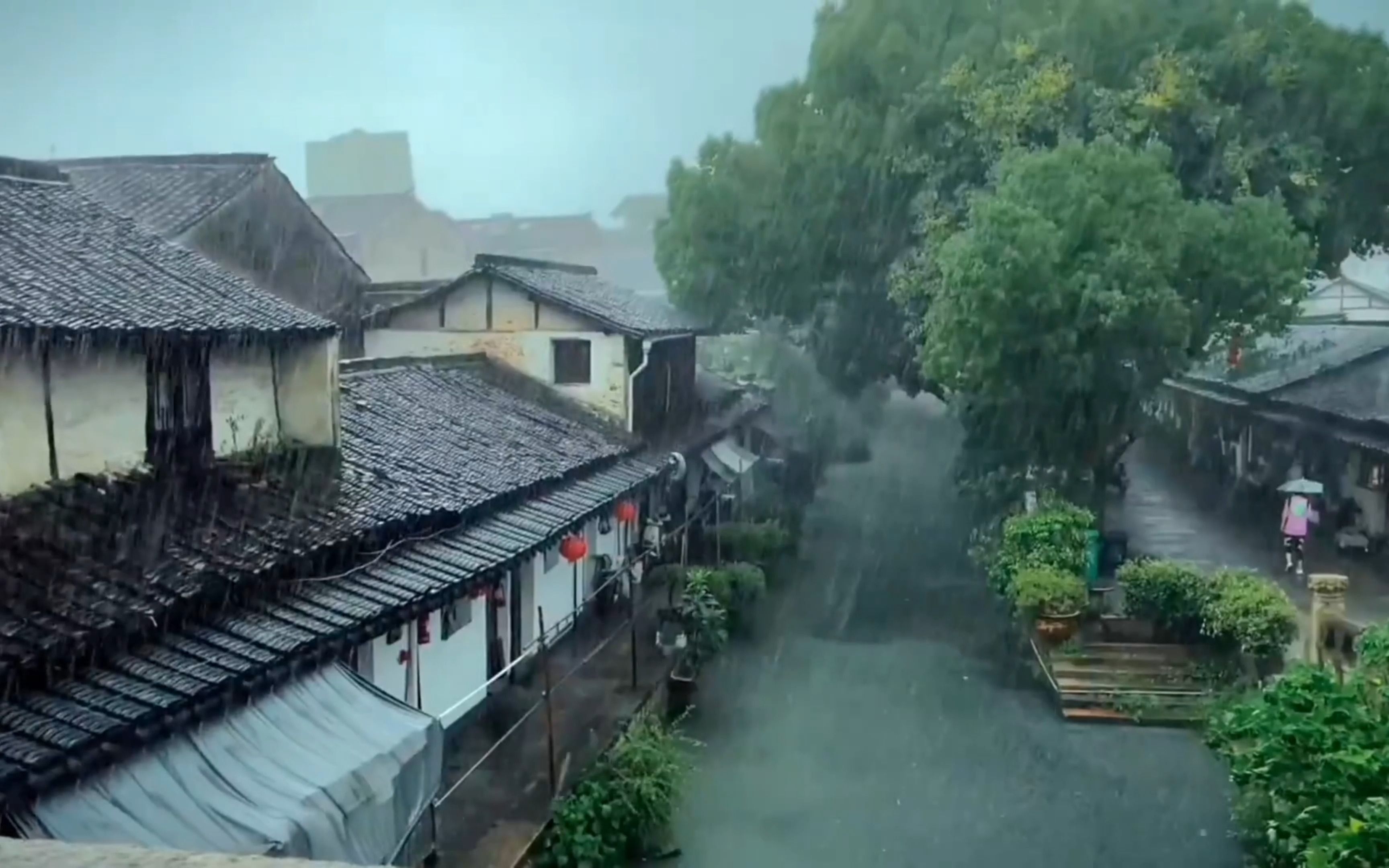 [图]烟雨中的江南才是真江南