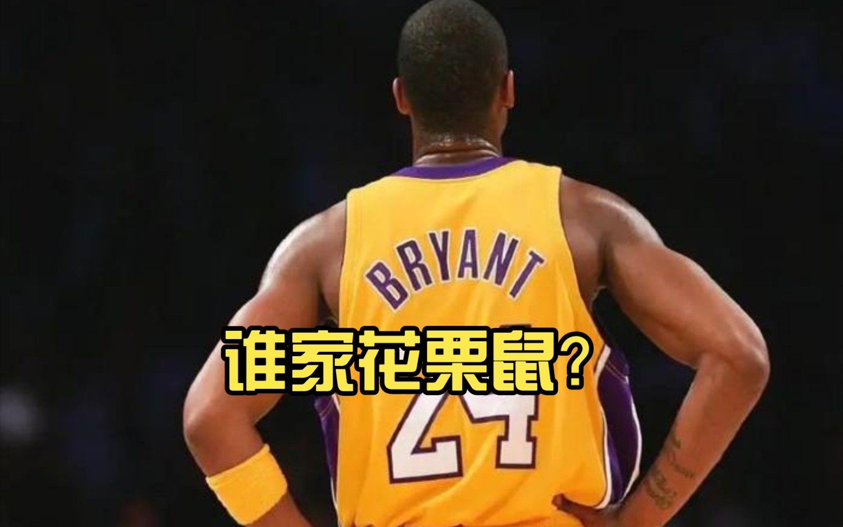 谁家花栗鼠?