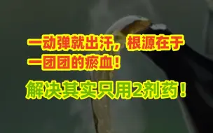 Download Video: 一动弹就出汗？根源在于一团团的瘀血！