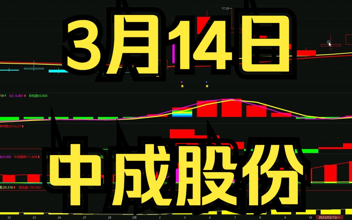 3.14中成股份:最新主力资金情况,如何判断低吸高抛?哔哩哔哩bilibili