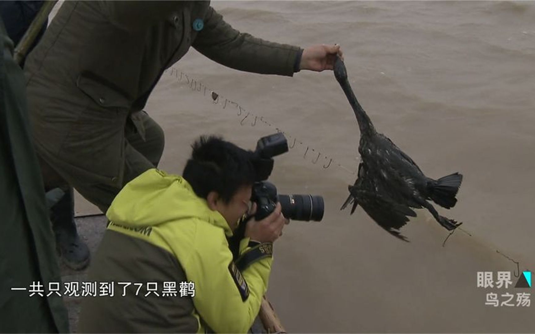 [图]案件：打鸟人布下天罗地网，候鸟有进无出，一天猎鸟足足有一吨重