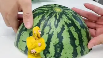 西瓜盖不住孙悟空！