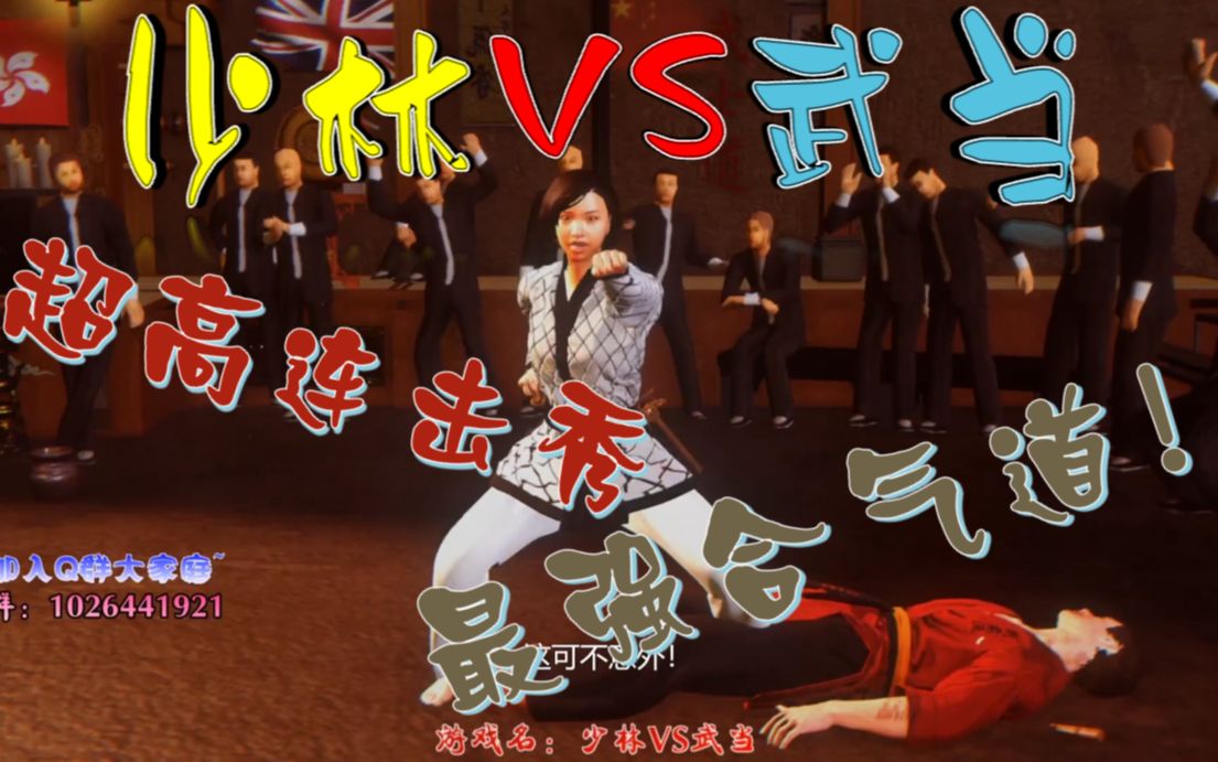 少林vs武当韩式合气道无敌天下超强女汉子最高难度一命通关