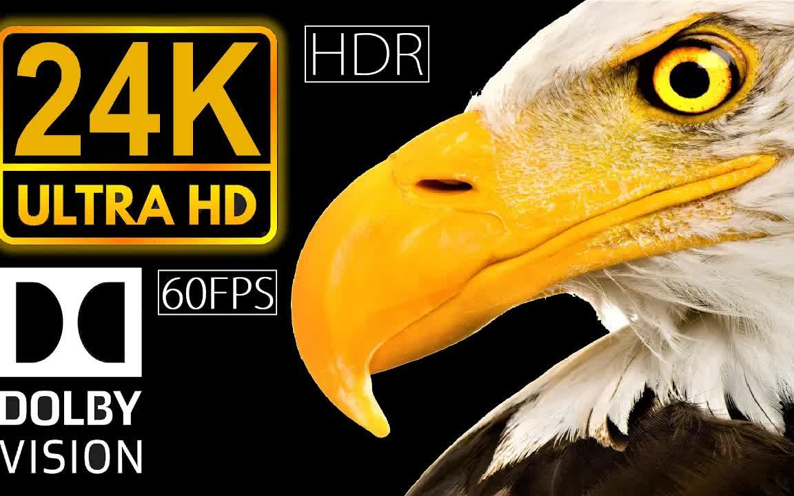 [图]24K HDR 60fps Dolby Vision  Real Black