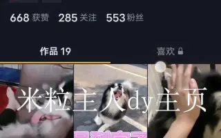 阿拉斯加米粒妈妈某短视频软件下的评论区