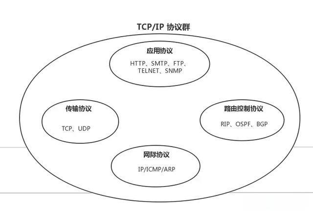 常见网络协议入门到精通哔哩哔哩bilibili