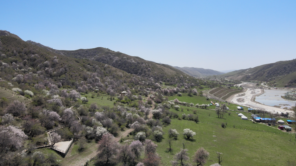 【part2】伊犁霍城县大西沟乡:春天和夏天同时眷顾_哔哩哔哩_bilibili