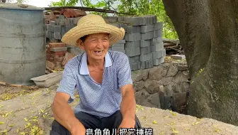 村里一棵皂角树长在水井边，一抱来粗，问问长了多少年