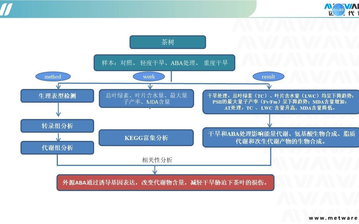 代谢组/转录组/多组学/迈维代谢项目文章解读:转录组+代谢组技术助力茶树和高羊茅非生物胁迫研究哔哩哔哩bilibili