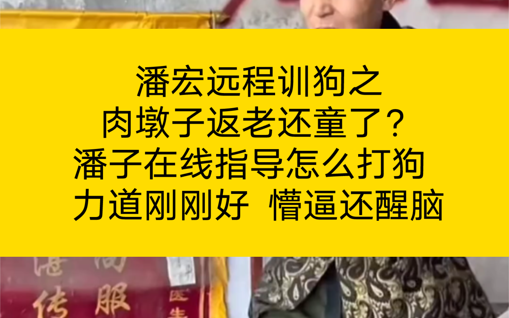 潘宏远程训狗之 肉墩子返老还童了?潘子在线指导怎么打狗 力道刚刚好 懵逼还醒脑哔哩哔哩bilibili