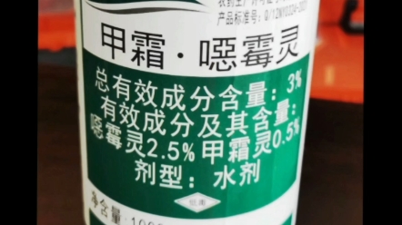 芋头疫病、根腐病马蹄白粉病、干枯病罗汉果病毒病柿子麻叶病专用药哔哩哔哩bilibili