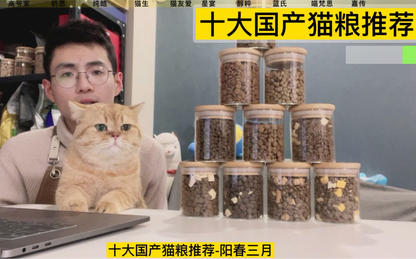 [图]十大国产猫粮推荐-阳春三月