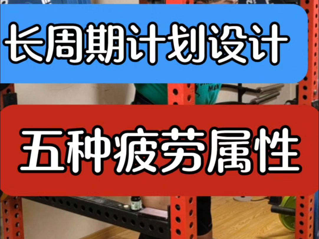 【力训干货】—设计长周期计划,必须区分的5种疲劳属性:哔哩哔哩bilibili