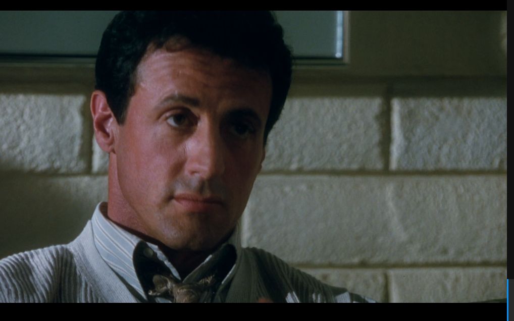 assassins.1995.(1080p美国电影)