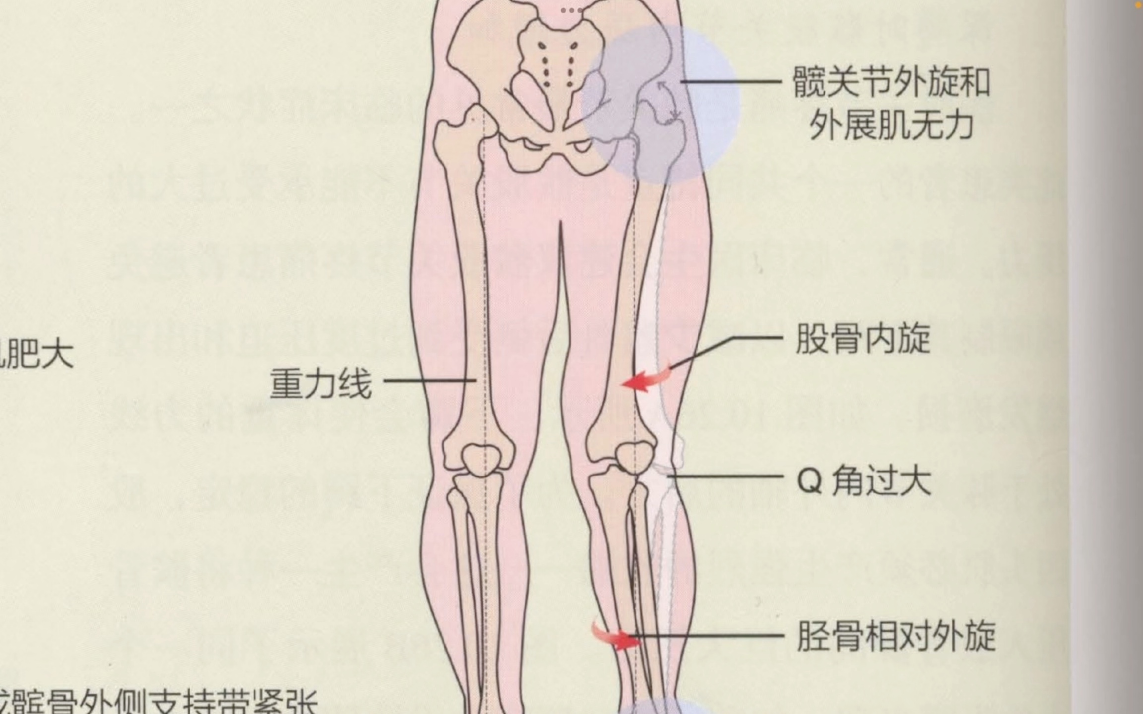 膝后夹角45度图片图片