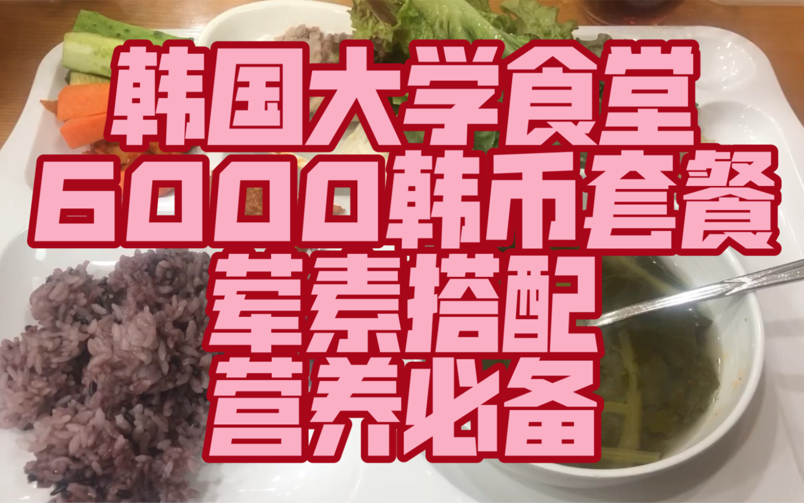 韩国大学食堂|6000元韩币套餐,荤素搭配,营养必备.哔哩哔哩bilibili