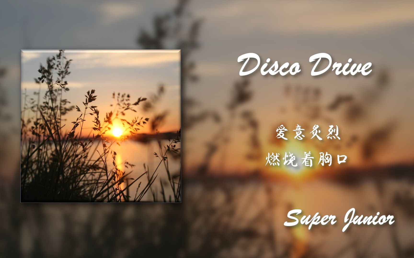 [图]【日推歌单】每日蓝家宝藏非主打《Disco Drive》"爱意炙烈 燃烧着胸口"