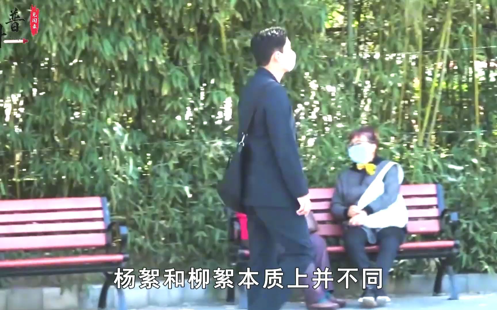 杨树的危害有多大?曾被大量引种,如今因一致命缺陷被“禁种”哔哩哔哩bilibili