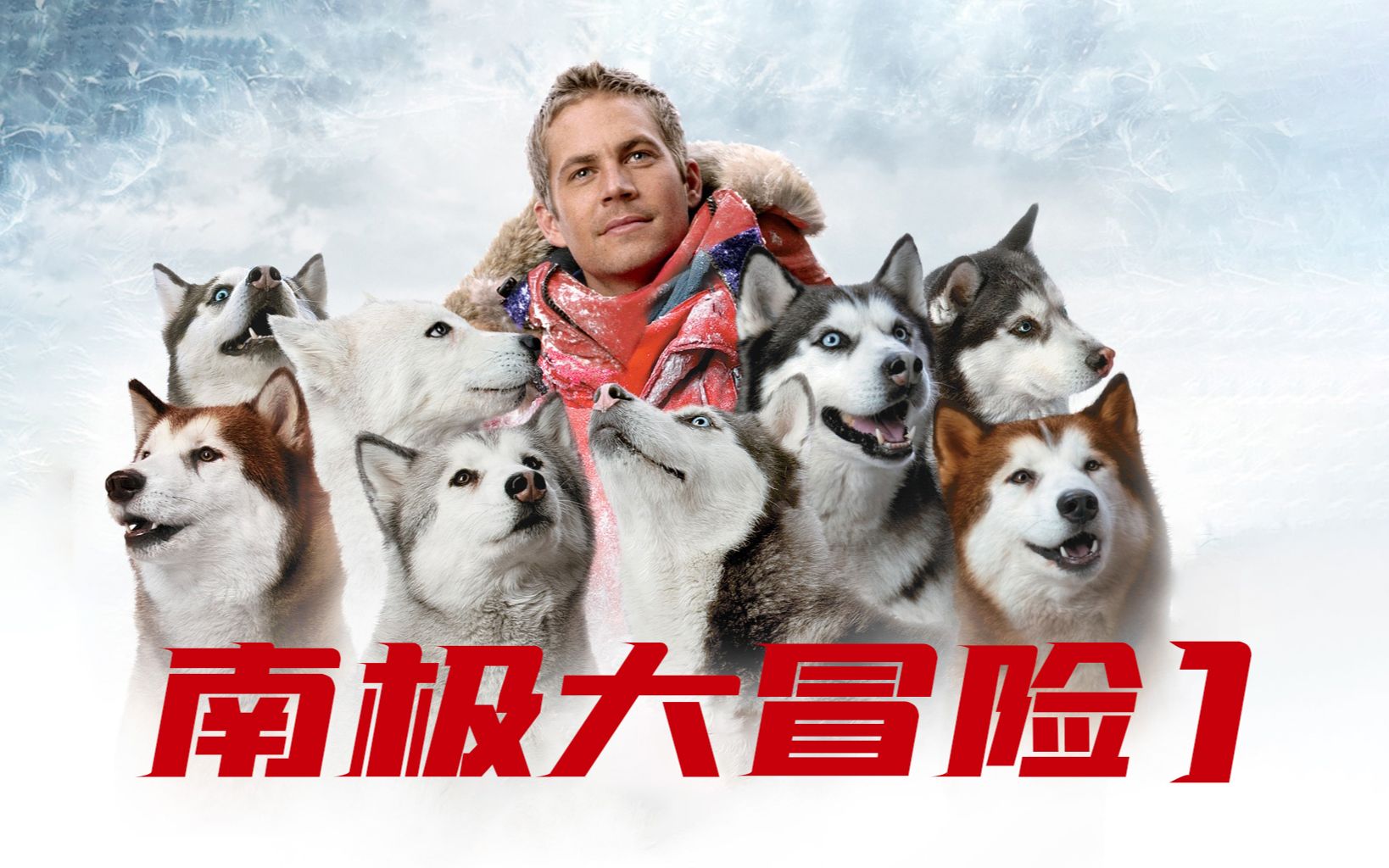 八只雪橇犬电影图片