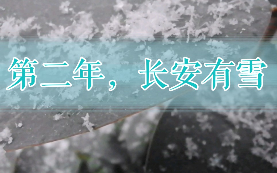 [图]【西安初雪】第二年，长安有雪