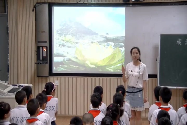 【获奖】人音版二年级音乐下册我爱雪莲花丁老师优质课视频教学公开课哔哩哔哩bilibili